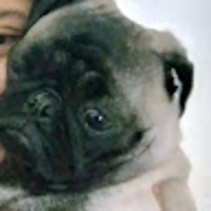 Meet your Posher, Joana